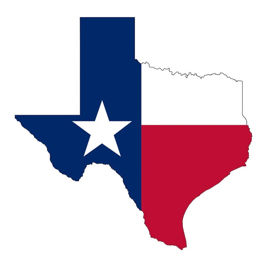 Texas state graphic used on the Pro-Tect Roof Service website.